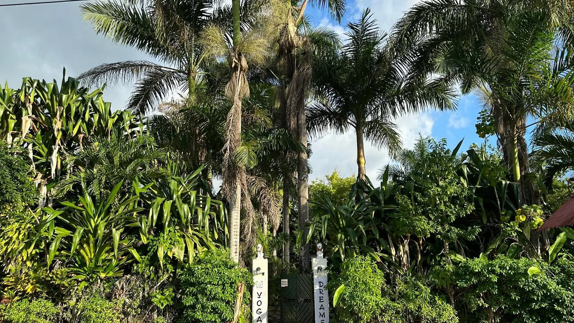Hotel Yoga Dreams Negril