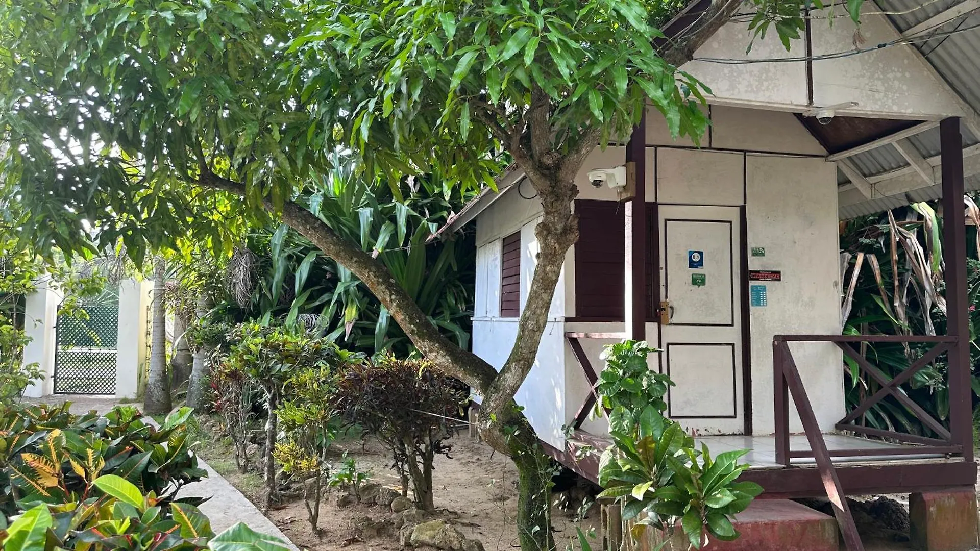 Hotel Yoga Dreams Negril 3*,