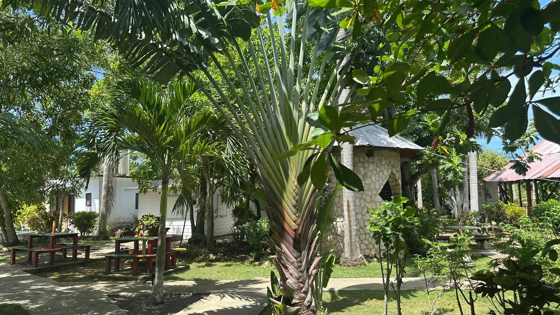 Hotel Yoga Dreams Negril Giamaica